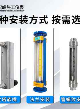 LZB-3WB常州不锈钢玻璃转子流量计气体液体DK800 LZB-6WBLZB-10WB