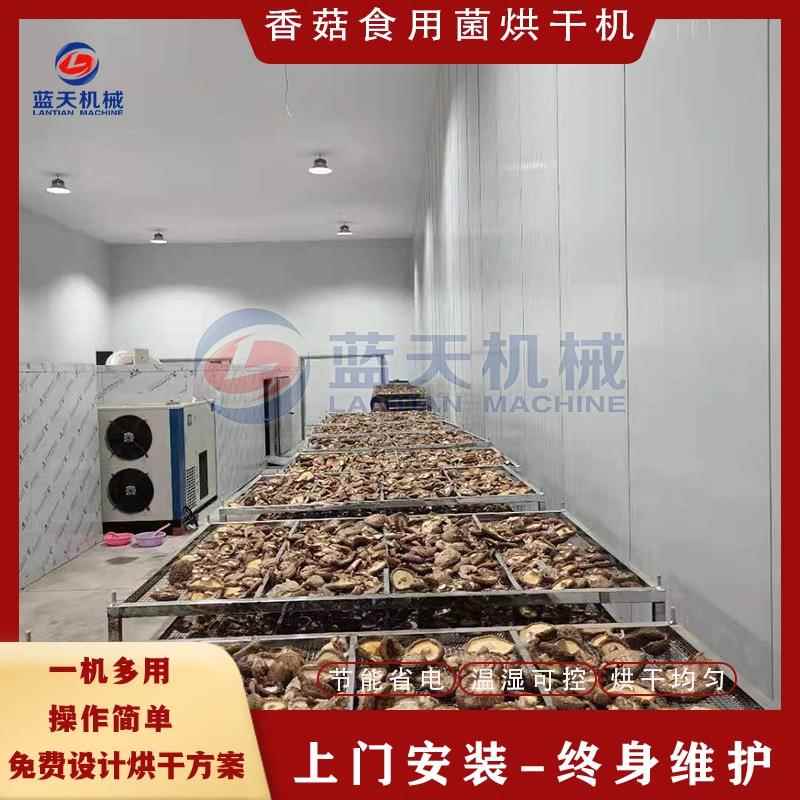 香菇电烘干机 5吨食用菌烘干设备 农村用大型平菇木耳菌类烘烤房
