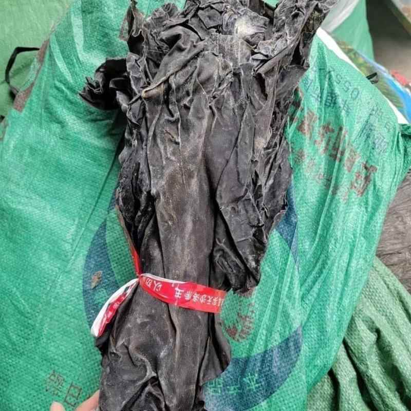 【去尾】干海带头特厚海带根无沙无盐海带头长海带头干货炖汤凉拌