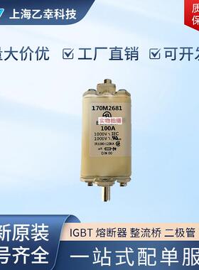 巴斯曼熔断器 170M2710 170M2711 170M2712 170M2713 170M2714