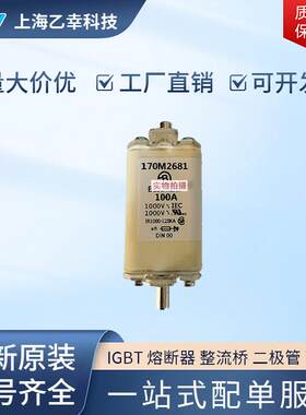 巴斯曼熔断器 170M2710 170M2711 170M2712 170M2713 170M2714