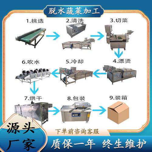 脱水蔬菜加工流水线供应西芹涡流式气泡清洗机龙须菜气泡清洗设备