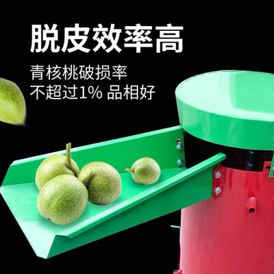 青皮KSD桃脱皮机机杏核桃橄榄核桃山脱皮清洗一体核核桃去皮机