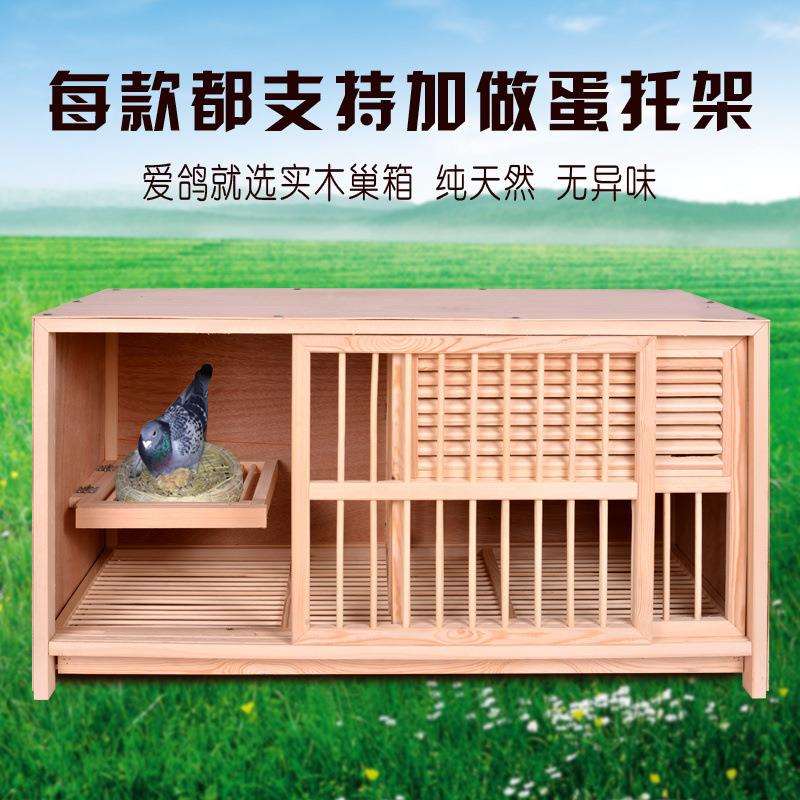 鸽子信鸽巢箱配对笼赛飞巢箱实木鸽子笼鸽具木质笼子工厂一件