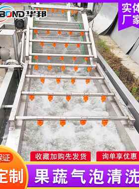 厂家应中HPM房净菜加工设备 全自叶类蔬菜清动洗机 果蔬供洗清机