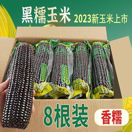 黑玉米整箱22.9东北粘黏玉米，黑玉米大棒轻食减健身新鲜粗粮