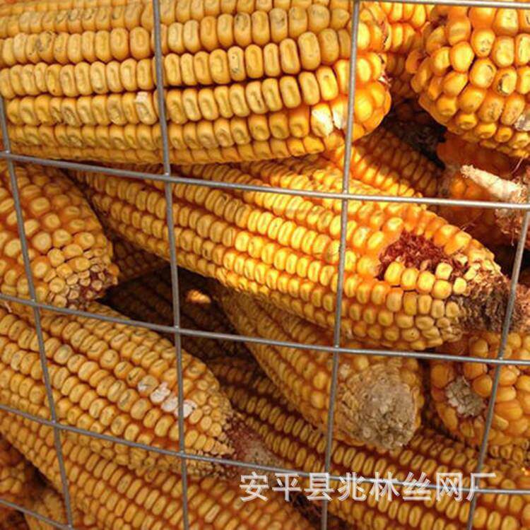 河北厂家现货销售圈玉米网6*9网孔粮仓网镀锌铁丝网价格优惠
