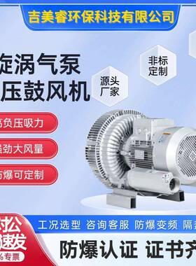 气体循环输送旋涡式气泵LRB94S双段立式高压鼓风机20kw大气量高压