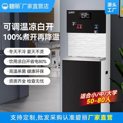 碧丽商用饮水机办公室全自动净水直饮机学校单位烧开水器2Q5