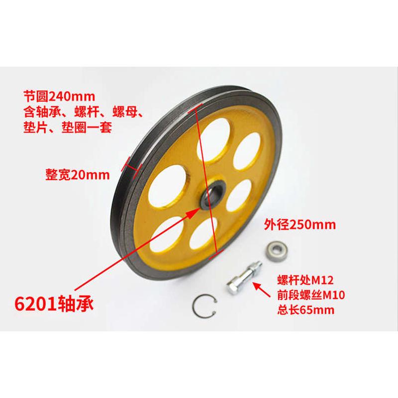 泛阳电梯涨紧轮 涨紧装置 限速器 250*20*6201 240 底坑 电梯配件