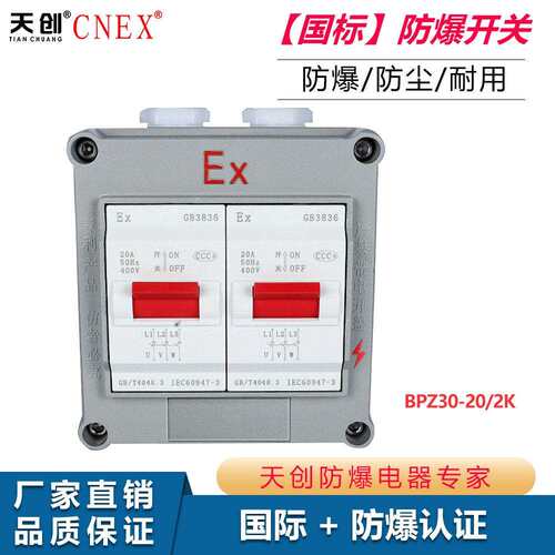 TCBPZ30-系列防爆开关防爆照明开关