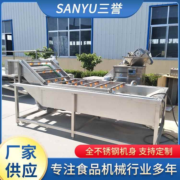 SY-4000气泡清洗机 叶类蔬菜清洗机 水果清洗机