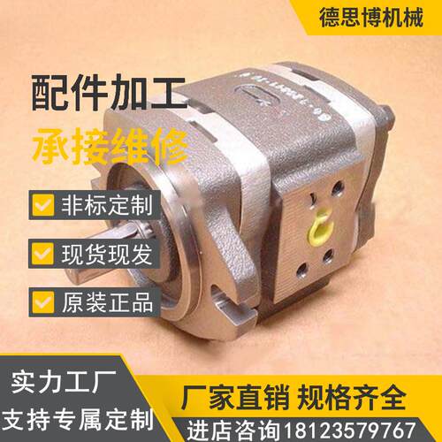 德国进口VOITH福伊特齿轮泵IPV4-13/16/20/25/32-171注塑机伺服泵