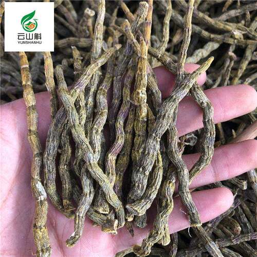 五年镇店之宝铁皮石斛粗壮干条芽条多胶新鲜石斛鲜条枫斗粉干 干