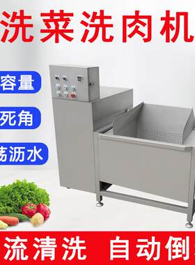 自动倒料单槽肉菜清洗机排骨涡流冲洗沥水机果蔬海鲜去沙洗菜机
