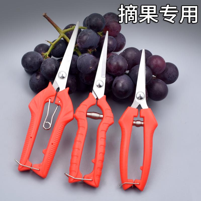 园林园艺剪刀花艺树枝剪修枝剪果园果芽剪摘果剪疏果稀果葡萄剪刀