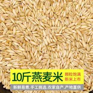 东北粗粮燕麦米10斤当季新米胚芽米生燕麦仁米去皮莜麦米仁莜麦粒