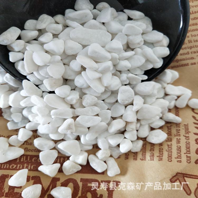 厂家汉白玉白石子白色石头多肉装饰酒店庭院别墅造景生态造景