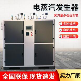 小型节能蒸气锅炉消毒食品用蒸煮酿酒桑拿电加热蒸汽产生器出气快