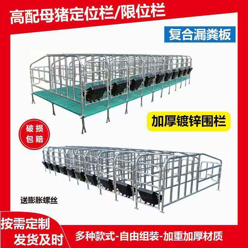 母猪定位栏母猪产床猪用定位栏猪用限位栏母猪限位栏养殖设备厂