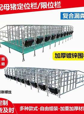 母猪定位栏母猪产床猪用定位栏猪用限位栏母猪限位栏养殖设备厂