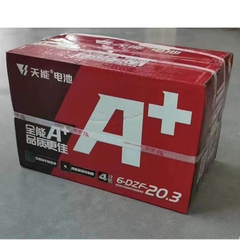12伏12V36V48V60V72V20按时电动车电池6-DZM-20电瓶6-DZF-20天能
