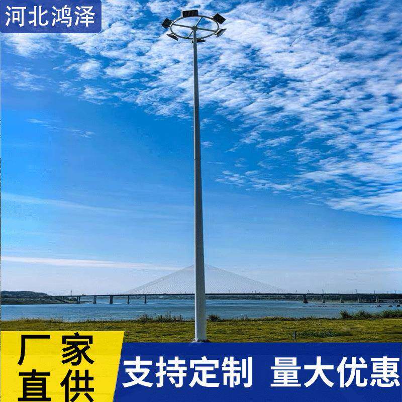 玻璃钢灯杆户外照明灯杆篮球场操道路灯具/智慧路灯/