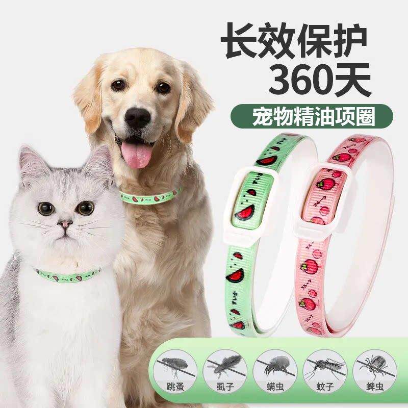 宠物项圈猫犬通用猫咪狗狗颈圈日常宠物用品小狗小猫项圈体外猫圈