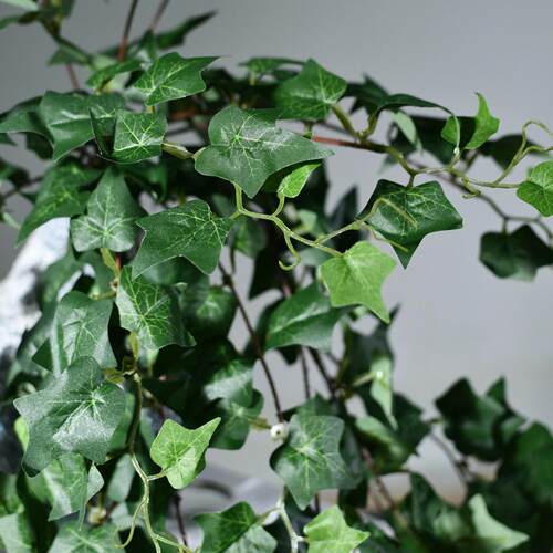 仿真把束壁挂常春藤绿萝植物墙橱窗挂壁仿真植物绿色藤条吊顶装饰