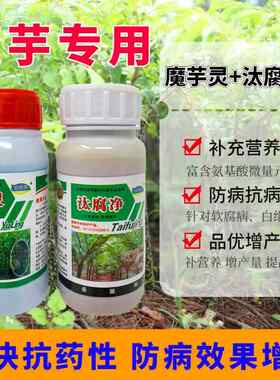 汰腐净魔芋灵防病药软腐病根腐病药魔芋药魔芋专用叶面肥消毒粉