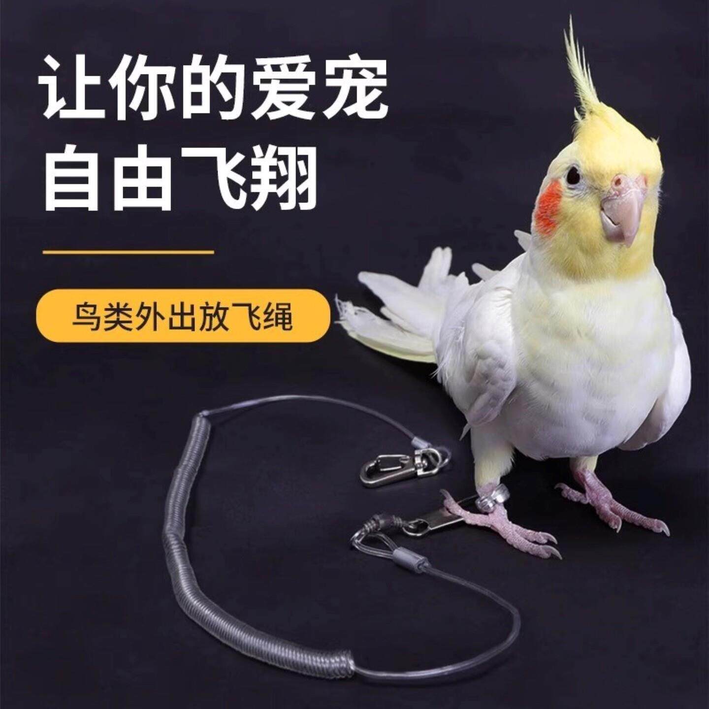 鸟用鹦鹉放飞绳牵引绳外出遛鸟牵引带虎皮玄风牡丹用品弹力飞行绳