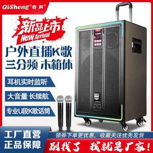 奇声高品质音响广场舞大音量家用唱歌户外k歌直播声卡拉杆音箱