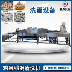 铭泰洗蛋机鸡蛋清洗风干杀菌设备咸鸭蛋喷油加工流水线