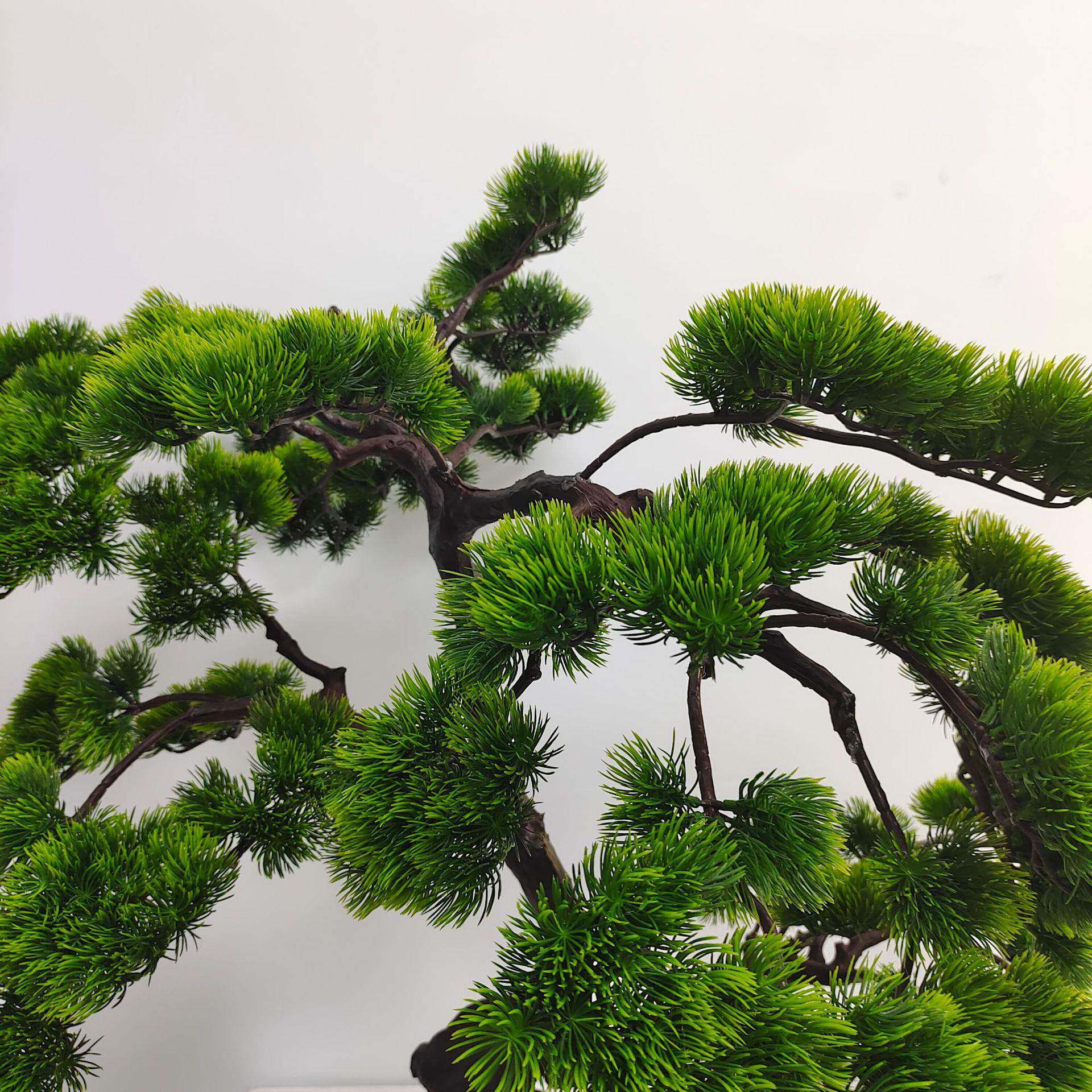 美人松仿真绿植盆栽家居落地饰品摆件迎客松现货装饰真松盆景