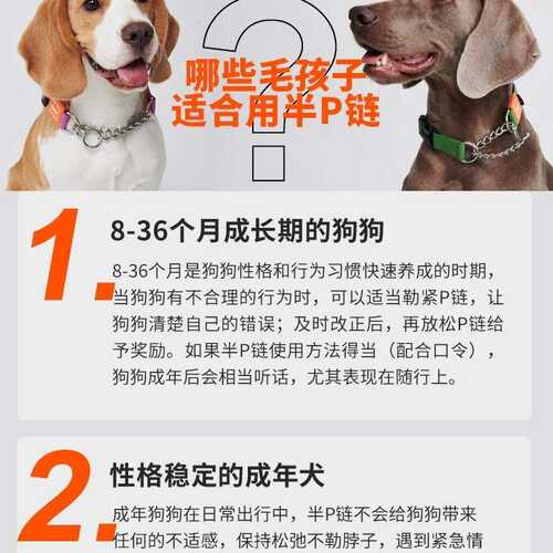 howgo好狗宠物半p链项圈大中小型犬通用脖圈狗牌饰品牵引宠物引绳