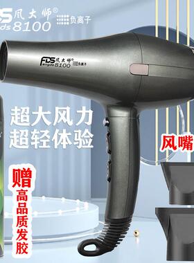 风大师8100诺德仕8100吹风机负离子大功率电风机电风筒电吹风