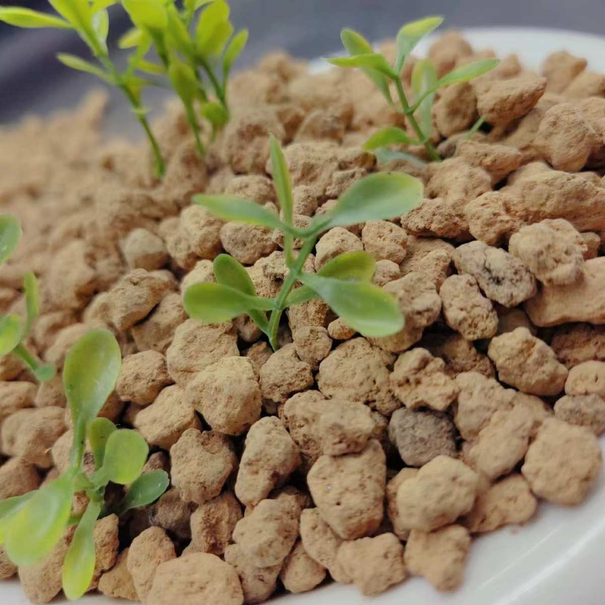 源头工厂直销赤玉土 多肉蔬菜花卉绿植种植铺面扦插各种规格齐全