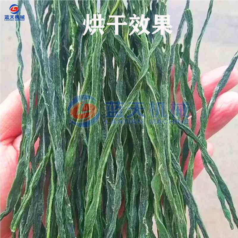 大架王烘干机豆 泰国架豆王长豇豆脱水LT-JDWHG型烘干 芸豆豆角丝