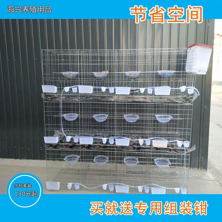 鸽子笼肉鸽笼蛋鸽笼加粗12位16位鸽笼种鸽配对鸽笼鸽子窝量大优惠