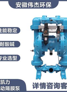 Skylink斯凯力PDSK系列粉体泵新型粉末输送设备气动粉体泵