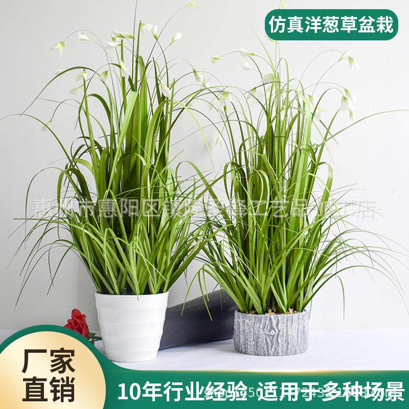 洋葱草仿真盆栽园林绿化盆景仿真植物摆件假花假草玉兰花绿植盆栽
