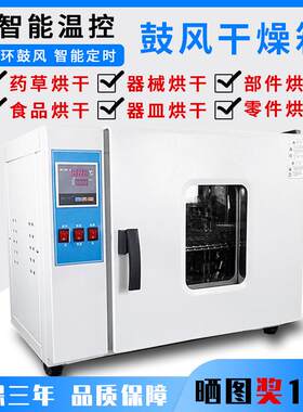 恒温干燥箱工业烘箱烤箱高温烤箱电热烘箱电热烘干箱电热鼓风大促