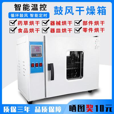 恒温工干燥箱烘烤箱XAD箱高温烤箱电业热烘箱电热烘干箱电热鼓风