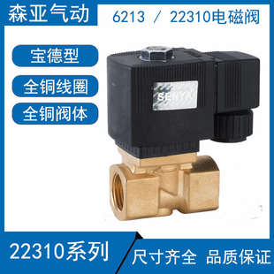 4分宝德型电磁阀 6213 SY22310 森亚SENYA 气阀 水阀 DN15