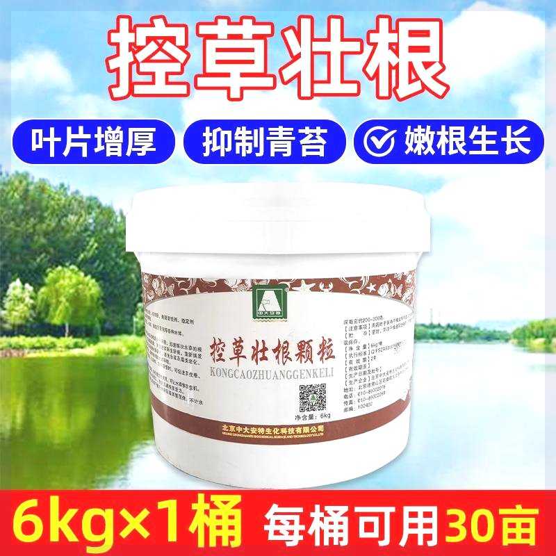 根高温疯长水草伊强生根催芽黄叶救星烂壮防藻草根丹水乐救大草