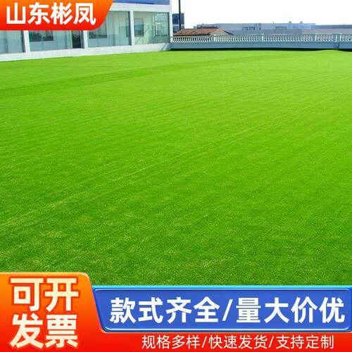 人造草坪人工地毯假草塑料绿色阳台铺垫户外楼顶装饰庭院人造草皮