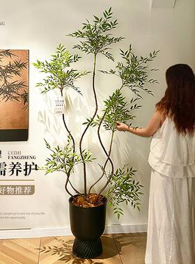 南天竹彷真绿色植物大型室内盆栽装饰花摆件客厅落地树高级彷生假