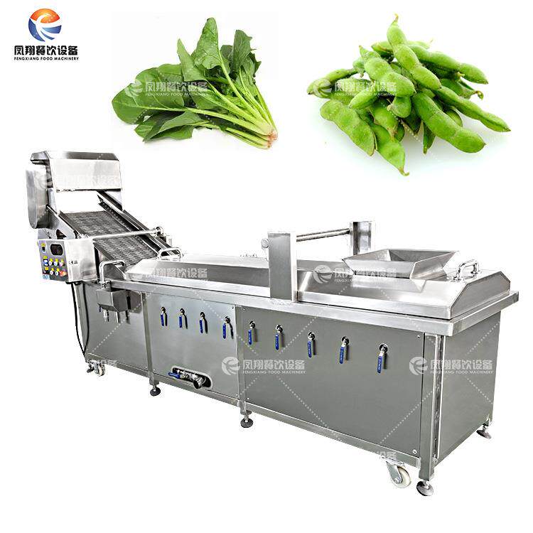 工厂直销蔬菜网带式蒸汽漂烫机商用全自动高温杀青机网面易清洁