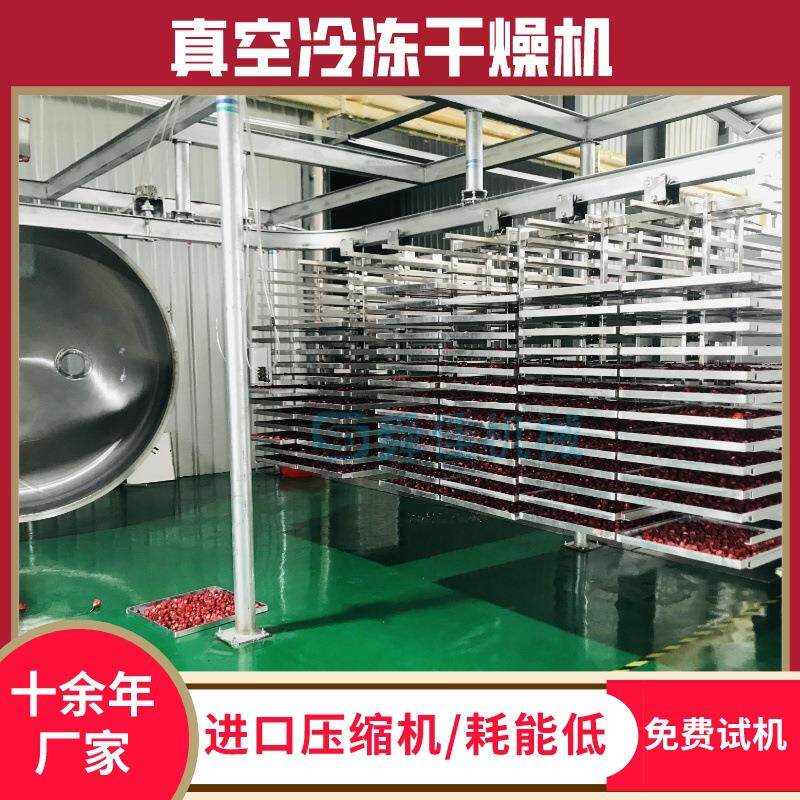 宠物粮大型真空冻干机水果低温脱水冻干机玫瑰花冷冻真空干燥机