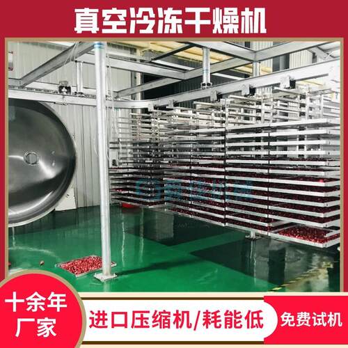 宠物粮大型真空冻干机水果低温脱水冻干机玫瑰花冷冻真空干燥机